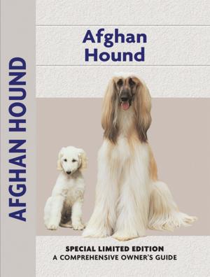 Cover of the book Afghan Hound by Haja Van Wessem