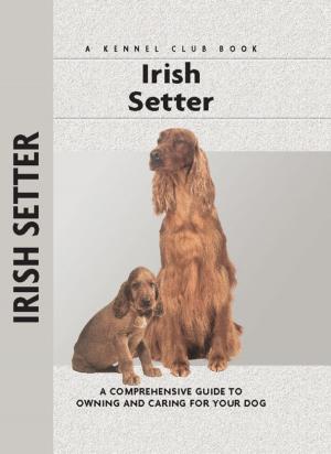 Cover of the book Irish Setter by Barbara J. Andrews, Meg Purnell Carpenter, Meg Purnell-Carpenter