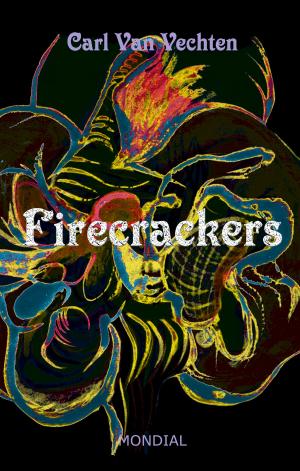 bigCover of the book Firecrackers. A Realistic Novel by 