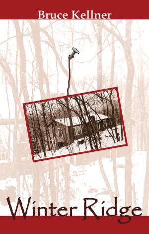 Cover of the book Winter Ridge: A Love Story by Debra Yergen