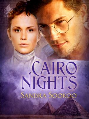 Cover of the book Cairo Nights by Ashlynn Monroe
