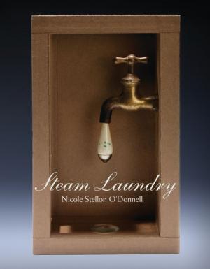 Cover of Steam Laundry