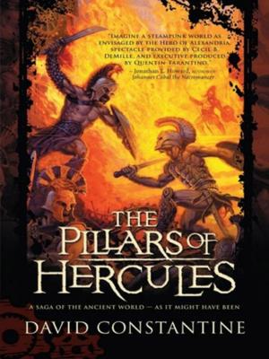 Cover of the book The Pillars of Hercules by Kameron Hurley