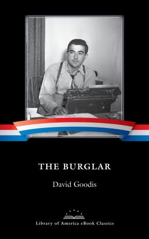 Book cover of The Burglar
