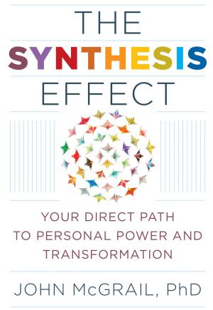 Book cover of The Synthesis Effect