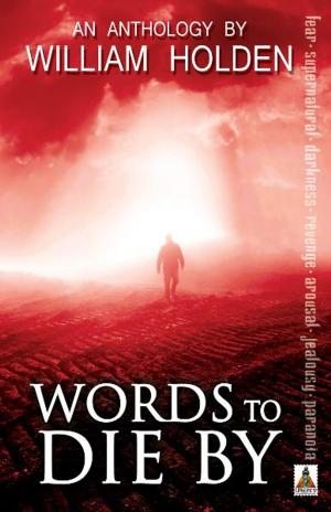 Book cover of Words to Die By