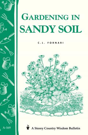 Cover of the book Gardening in Sandy Soil by Stephanie Cohen, Nancy J. Ondra