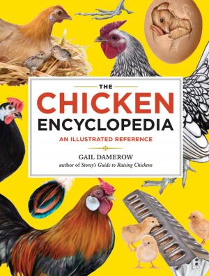 Cover of the book The Chicken Encyclopedia by Marynor Jordan, Nancy C. Ralston