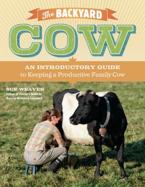 Book cover of The Backyard Cow