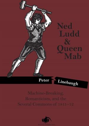 Cover of the book Ned Ludd & Queen Mab by Summer Brenner