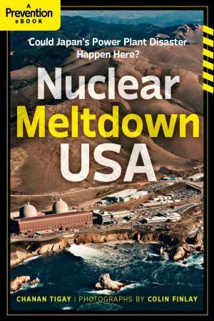 Cover of the book Nuclear Meltdown, USA by Shweta Rajawat Rajawat, M. M. Malik