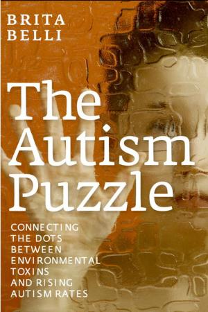 Cover of the book The Autism Puzzle by Donna Finando, L.Ac., L.M.T.
