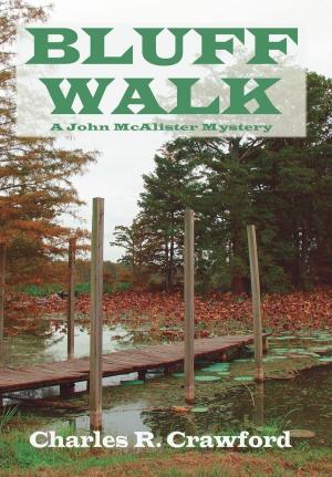 Cover of the book Bluff Walk by Stephen L. Turner