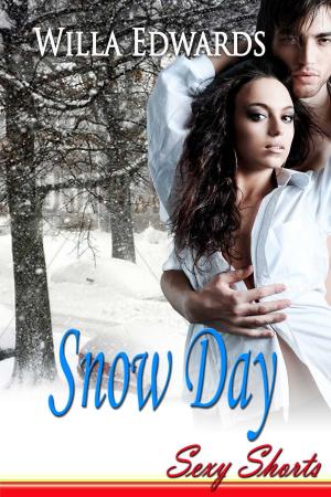 Cover of the book Snow Day - Sexy Shorts by Ann Marie Bezayiff