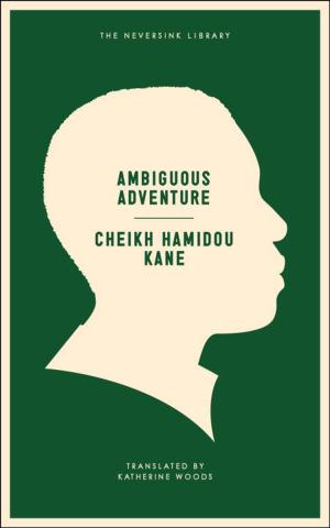 Book cover of Ambiguous Adventure