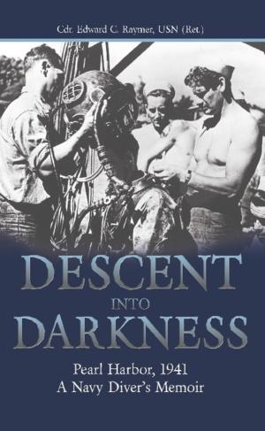 Cover of the book Descent into Darkness by Robert Haddick