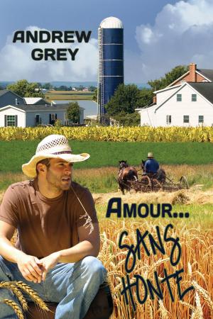 Cover of the book Amour… sans honte by Sui Lynn