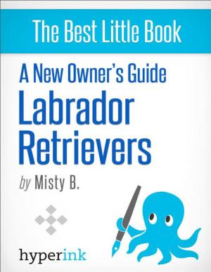 Cover of the book A New Owner's Guide to Labrador Retreivers by The Hyperink  Team