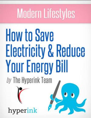 Cover of the book Modern Lifestyles: How to Save Electricity and Reduce Your Energy Bill by MBA Interviews, Bschool Admissions eBook, MBA Application Book, Applying To HBS Book