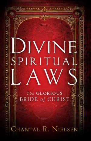 Cover of the book Divine Spiritual Laws by Bruce Van Natta
