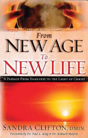 Cover of the book From New Age To New Life by Rhodora James