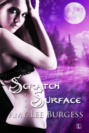 Book cover of Scratch the Surface