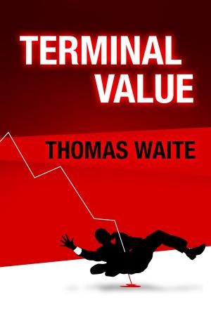 Cover of the book Terminal Value by Melissa Skaye