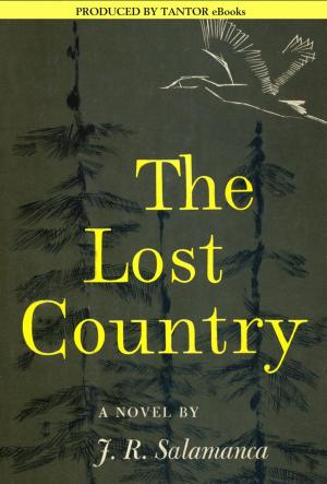 Cover of the book The Lost Country by Erich von Daniken