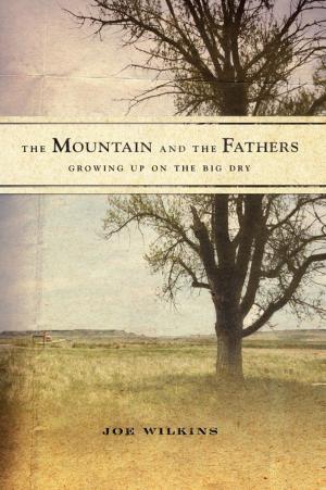 Cover of the book The Mountain and the Fathers by Marion Winik
