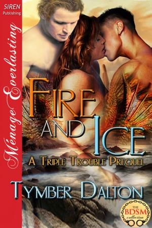 Cover of the book Fire and Ice by Kris Eton