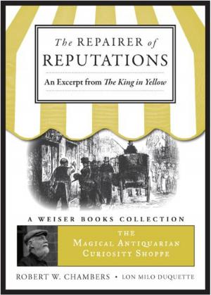 Cover of the book The Repairer of Reputations by Barbara E. Savin, C. Ht.