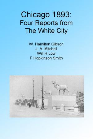 Cover of the book Chicago 1893: Four Reports from the White City. Illustrated by J. Ross Browne