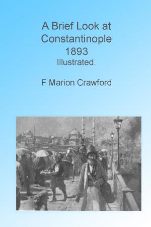 Book cover of A Brief Look at Contantinople, 1893, Illustrated