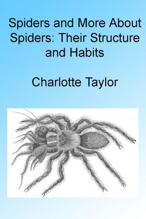 Book cover of Spiders and More About Spiders: Their Structure and Habits , Illustrated