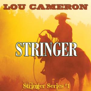 Cover of the book Stringer by Wayne D. Overholser