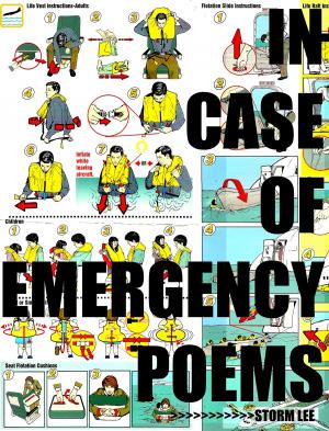 Cover of the book In Case Of Emergency by Terrence Howse