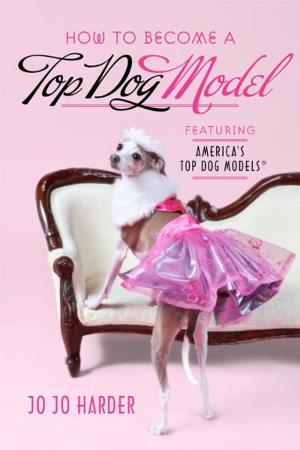 Book cover of How to Become a Top Dog Model