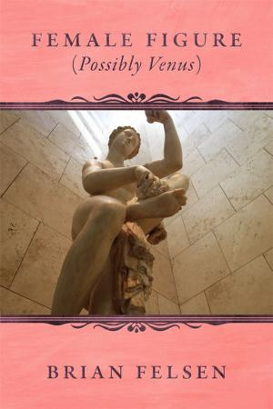 bigCover of the book Female Figure (Possibly Venus) by 