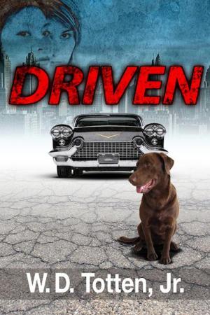 Cover of the book Driven by Ken Cascone