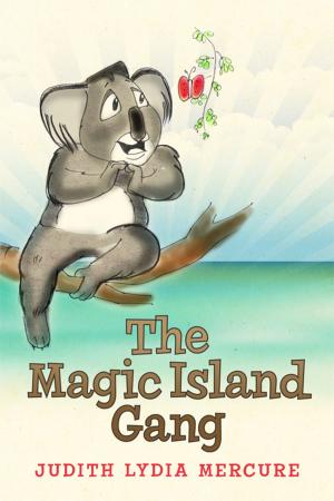 Cover of the book The Magic Island Gang by Jack Saunders