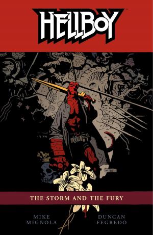 Book cover of Hellboy Volume 12: The Storm and the Fury