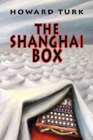Book cover of The Shanghai Box