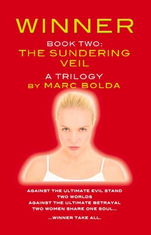 Cover of the book WINNER - BOOK TWO: The Sundering Veil by Pamela Kribbe