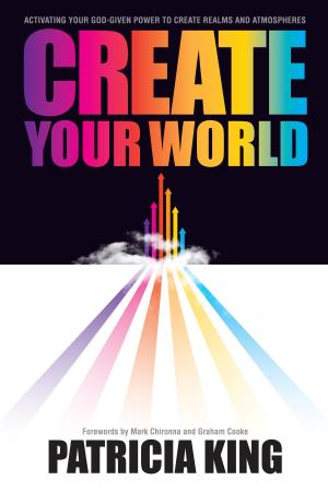 Book cover of Create Your World