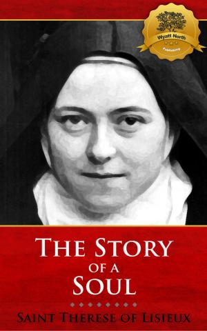 Cover of the book The Story of a Soul by St. Gregory of Nyssa, Wyatt North