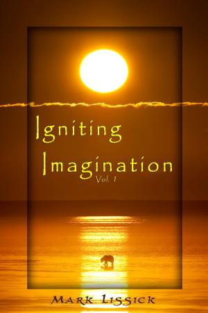 Cover of the book Igniting Imagination by Scott D. Odgers