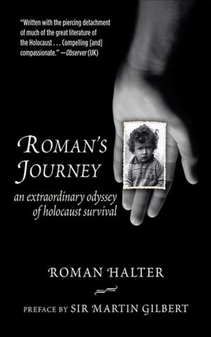 Cover of the book Roman's Journey by J. G. Holmstrom
