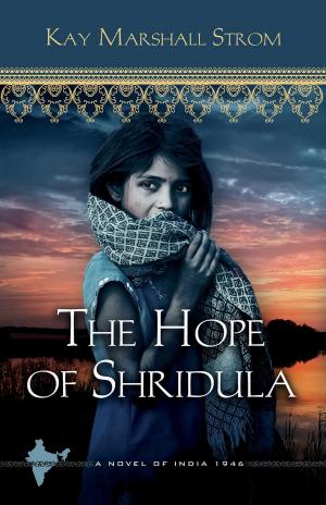 Cover of the book The Hope of Shridula by Ace Collins