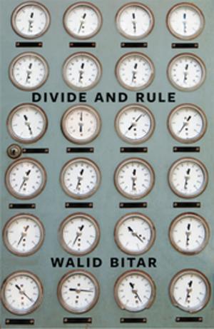 Cover of the book Divide and Rule by RM Vaughan