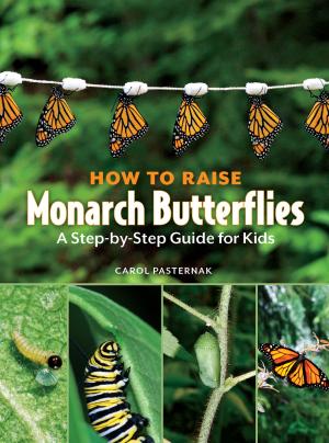Cover of the book How to Raise Monarch Butterflies by Robert Munsch